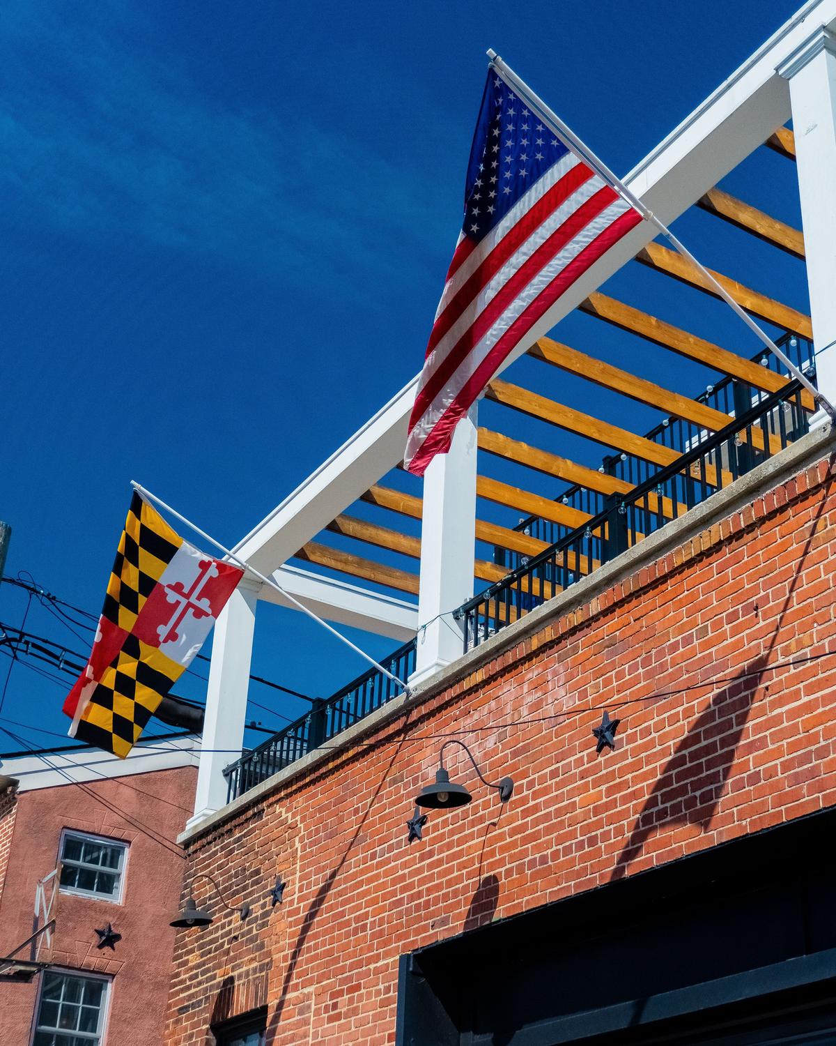 The Maryland state flag