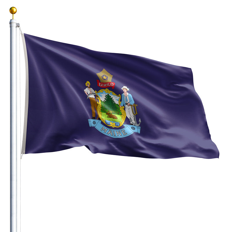 The Maine state flag
