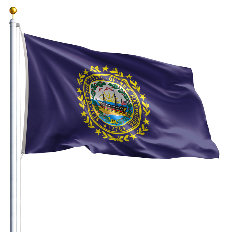 The New Hampshire state flag