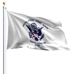 The Coast Guard flag