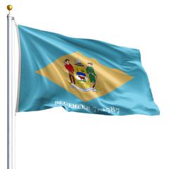 The Delaware state flag