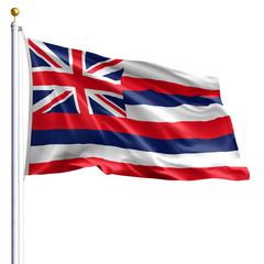 The Hawaii state flag