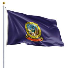 The Idaho state flag