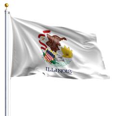 The Illinois state flag