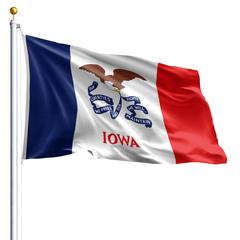 The Iowa state flag