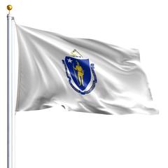 The Massachusetts state flag