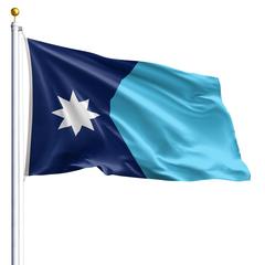 The Minnesota state flag