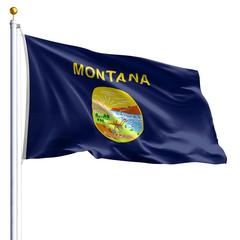 The Montana state flag
