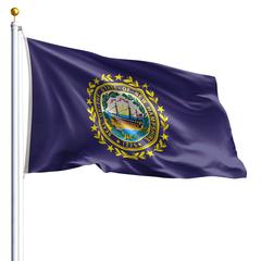 The New Hampshire state flag