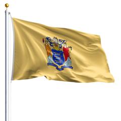 The New Jersey state flag
