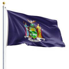 The New York state flag