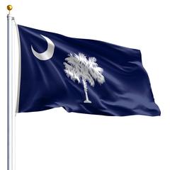 The South Carolina state flag