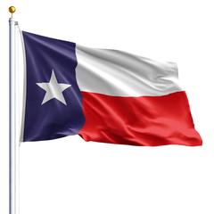 The Texas state flag