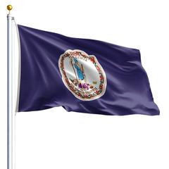 The Virginia state flag