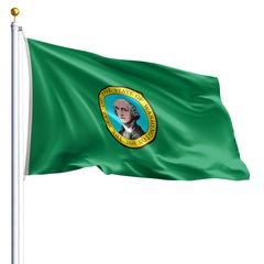 The Washington state flag