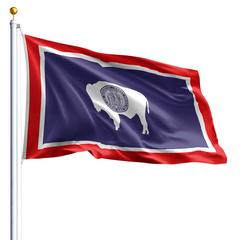 The Wyoming state flag