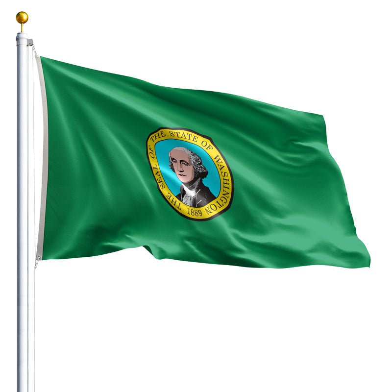 The Washington state flag