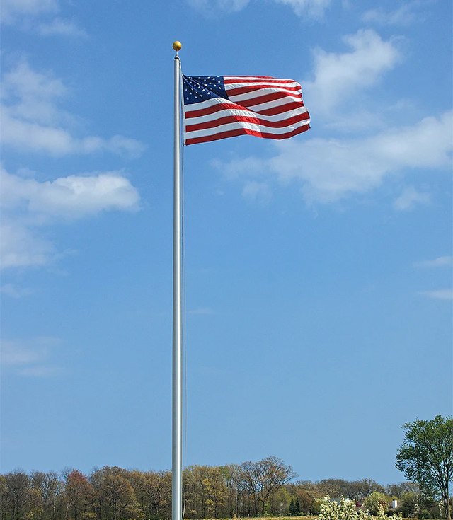 Special Budget flagpole